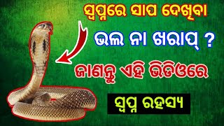 ସ୍ଵପ୍ନରେ ସାପ ଦେଖିବାର ମାନେ କଣ? କଣ ଏହା ଅଟେ ଭବିଷ୍ୟତ ବିଷୟରେ କିଛି ବିପଦ ସୂଚନା?