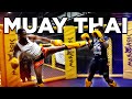 I Tried Muay Thai Boxing In Thailand ft AJ Shabeel (Sparring)