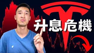 特斯拉再度削價：新一代model推出能挽救毛利嗎？九月會升息！？ TSLA美股分析