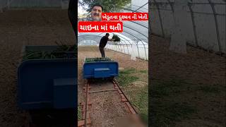 ચાઇના માં થતી ખેડૂતના દુશ્મન ની ખેતી