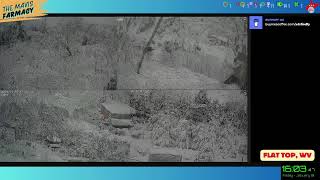 🔴 Winter Storm Coverage - WV Historic Ice Storm Live on the Farm : 🐓🦆🐝🐇🐖