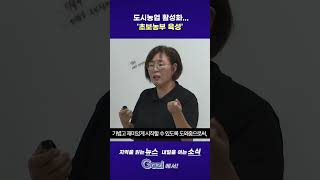 도시농업 활성화 '초보농부 육성'#shorts #쇼츠 #뉴스 #세종시