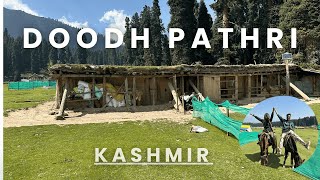 Doodh Pathri(The Valley Of Milk) | Srinagar | kashmir | Complete Guide