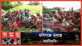 প্রধানমন্ত্রীর ভরসায় কাজে ফিরেছেন চা শ্রমিকদের একাংশ | Tea Labour Protest| Habiganj | Moulvibazar