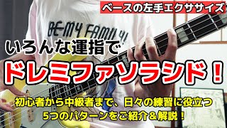 いろんな運指でドレミファソラシド！初心者から中級者まで役立つ5つのパターンを紹介＆解説！