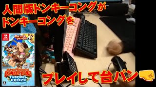 人間版ドンキーコングがドンキーコングをプレイして台パン【ドンキーコング トロピカルフリーズ 1面】