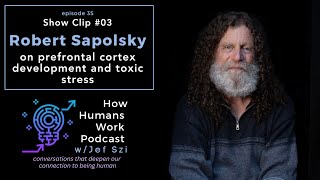 Robert Sapolsky: On Prefrontal Cortex Development and Toxic Stress