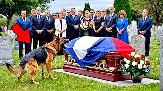 Le Chien Aboie Furieusement Devant le Cercueil de son Maître. Quand Ils l'Ouvrent, la Foule Crie !