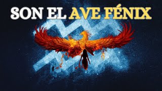 ACUARIO  ♒ y su Renacimiento Oculto | El AVE FÉNIX era Acuariano