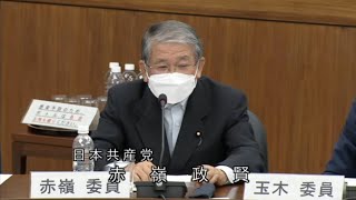 政府の情報発信に警鐘　参考人陳述　2022.6.2