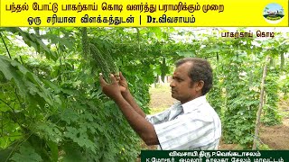 🟠Bitter Gourd Cultivation🟠How To Grow Bitter Gourd | Planting, Growing Harvesting🟠Dr.விவசாயம்