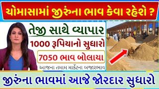 🔥 જીરું ના ભાવમાં જોરદાર તેજી 🔥|જીરુ ના ભાવ | information about cumin price commodity