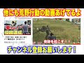 【荒野行動】フェアリーテイルコラボガチャ追加 　俺の神引きをご覧ください。【オパシ】