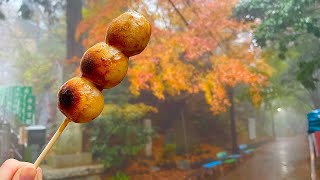 Strolling around Mt. Takao in the autumn rain Tokyo, Japan