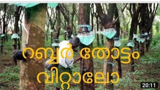 ഒന്നൊന്നര റബ്ബർ കച്ചവടം   5ഏക്കർ റബ്ബർ തോട്ടം വില്പനക്ക്