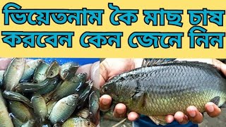 ভিয়েতনাম কৈ মাছ চাষ করবেন কেন জেনে নিন||মাত্র ৪মাসে ২০০থেকে ২৫০ গ্রামওজন হয়||01742919279