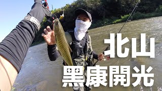 20230712 - Lure Fishing Fun 路亞小搞搞 #北山 #捲仔 #何氏棘魞 #黑康23