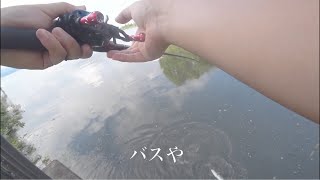 【琵琶湖バス釣り】水門で巨大バスが食ってきて絶体絶命のピンチ【カマリさんとコラボ釣行】