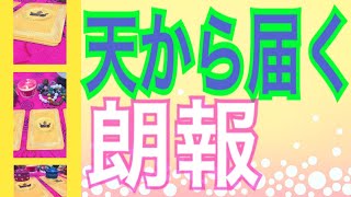 天から届く❗️朗報😆嬉しいですね🥰【字幕付】オラクルカードリーディング✨チャネリング✨３択です✨