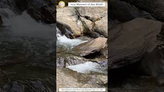 ScienceMan Moment of Zen 0461 #peaceful #vermont #river #nature #beautiful #stream #asmr