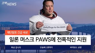 [베이비도지]BABY DOGE 일론 머스크의 충격 발언! PAWS에 전폭적인 지원으로 화성으로 보내버리겠다! 지금이 기회입니다..