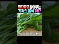 골다공증 예방하는 최고의 음식 1위! 골다공증에 좋은 음식 | 뼈 관절 건강