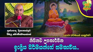 Ven Diyasenpura Wimala Thero | 2023-11-26 | 10:00 PM (නිවනට උපකාරී වන ඉංද්‍රීය ධර්මයන්ගේ සමතාවය...)