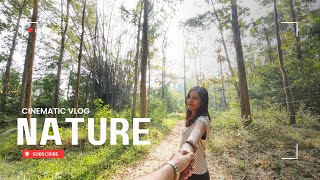 Xiaomi 14 Cinematic Camera 4K Video Test | Nature | Into the woods