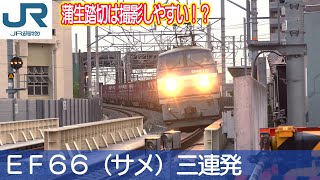 【サメ三連発】蒲生踏切は撮影しやすいぞ