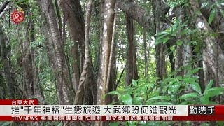 大武鄉推生態旅遊 山豬窟\