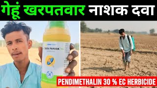 गेहूं में खरपतवार नाशक दवा || pendimethalin 30 ec herbicide || gehu me kharpatwar nashak dawa