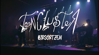 BIRSORTZEN - TeenCluster