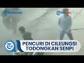 Pencuri di Cileungsi Todongkan Senjata Api saat Tepergok Warga yang Melihat Aksi Para Pelaku