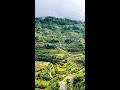 BANAUE, IFUGAO 🌾 #shorts