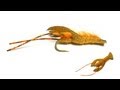 CrawBody Crawfish Fly Tying Video Instructions - Fish Skull