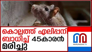 കൊല്ലത്ത് എലിപ്പനി ബാധിച്ച് 45കാരൻ മരിച്ചു  I   Leptospirosis kollam