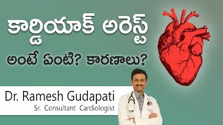 Hi9 | కార్డియాక్ అరెస్ట్ అంటే ఏంటి? కారణాలు?  - Dr Ramesh Gudapati, Cardiologist