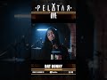 [Teaser] Dat Bunny // PELATAR LIVE