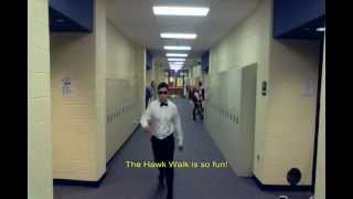 Hawk Walk Gangnam Style