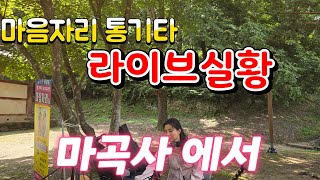 마음자리 통기타 라이브 (마곡사 에서)