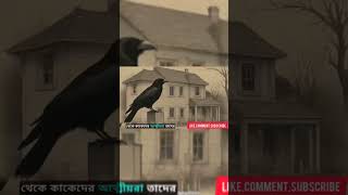 রাজ্যে  কতগুলো কাক আছে! ছোটো গল্প/সম্রাট আকবরের প্রশ্ন? #kidsstory #shortsvideo #shortstory