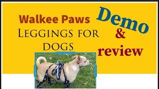 Walkee paws: leggings for dogs. Does it work for my chihuahua?