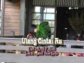 ulang cintai au.amelia duo koto