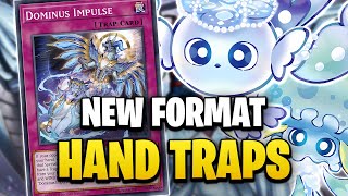 Best Hand Traps | November 2024