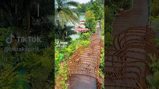 Discover the brand new Mandai Boardwalk