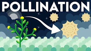 Pollination | Types of Pollination | Sexual Reproduction in Flowering Plants | Class 12 NEET 2025