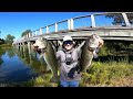 Topwater ONLY Day of Pond Fishing! (LOADED)