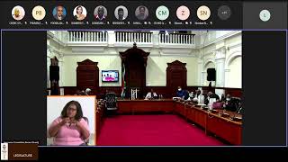 Virtual B:  Sitting [No. 10/2022] of the Fourth Session of the Sixth Legislature:  Vote 4:  Econo…