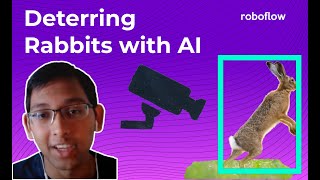 How AI Protects My Garden from Rabbits