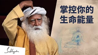 掌控你的生命能量 | Sadhguru 萨古鲁